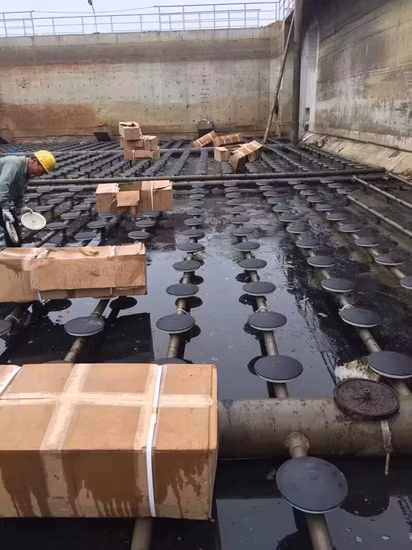 Disc Bubble Diffusers for Aquaculture Cages/Sprinkler Aerator/Aquaculture System