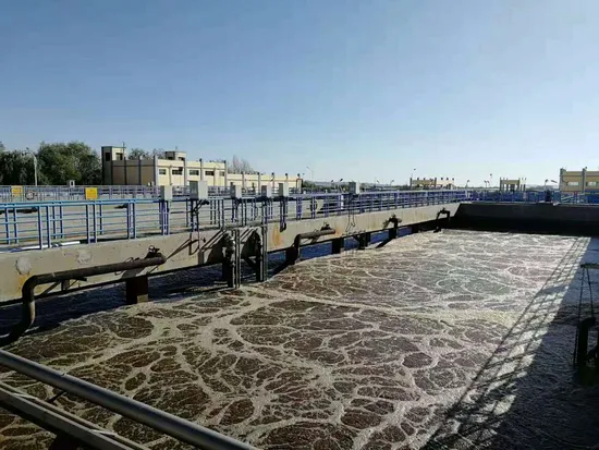 9inch 12inch Aeration Diffuser EPDM Membrane Disc Air Bubble Generator Bubble Diffuser